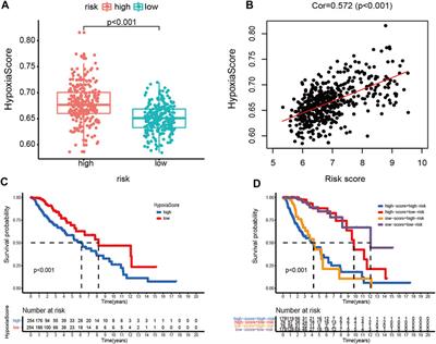 Characterization of the Ferroptosis-Related Genes for Prognosis and Immune Infiltration in Low-Grade Glioma